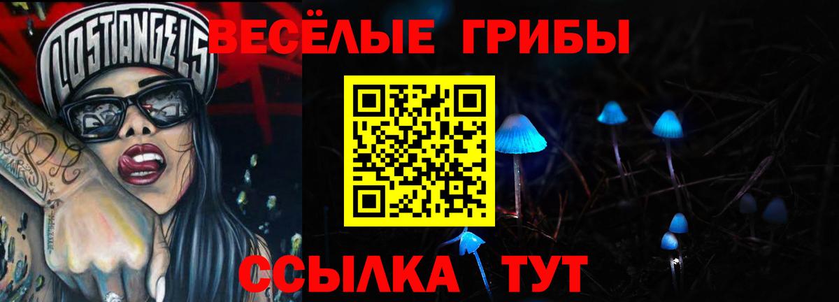 Галлюциногенные грибы Psilocybe  Вход с VPN  Холмск 