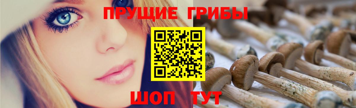 Галлюциногенные грибы GOLDEN TEACHER Холмск